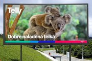 Telly obrazzek